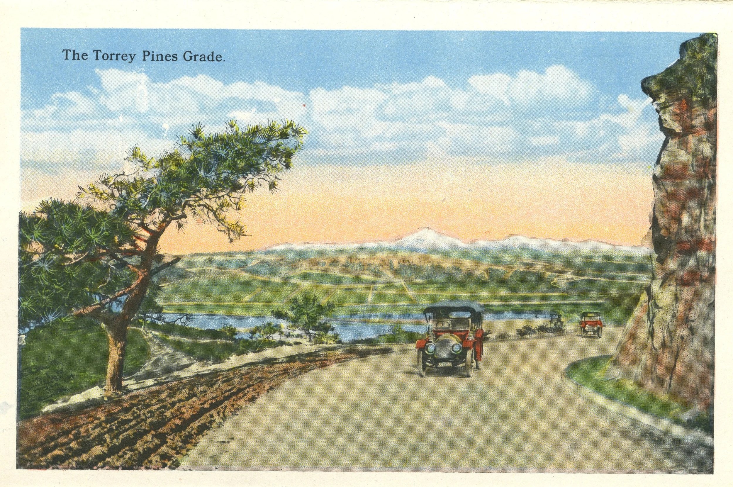 In 1915 the City of San Diego established a park to protect rare and ancient Torrey Pine, one of the earliest acts of conservation in California’s coastal history.