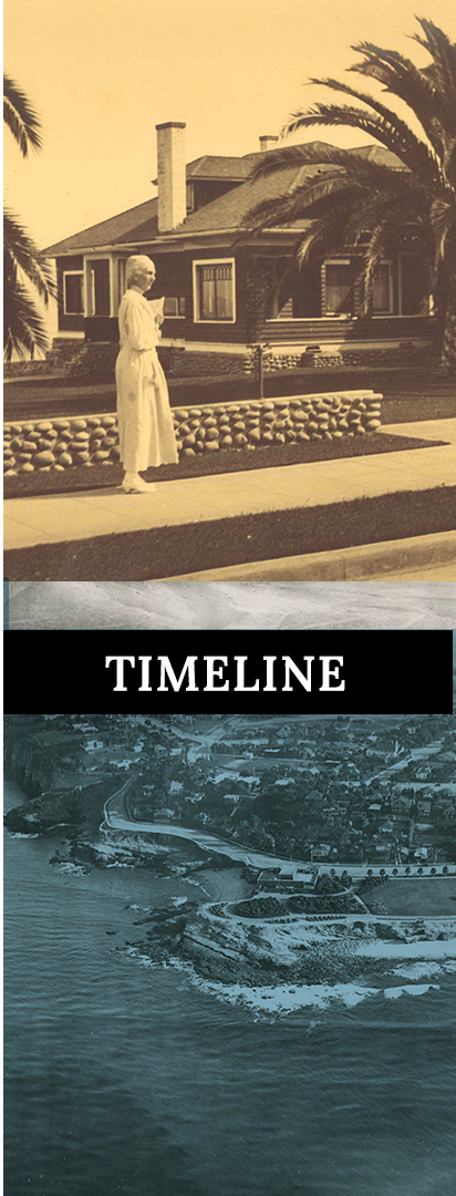 Timeline