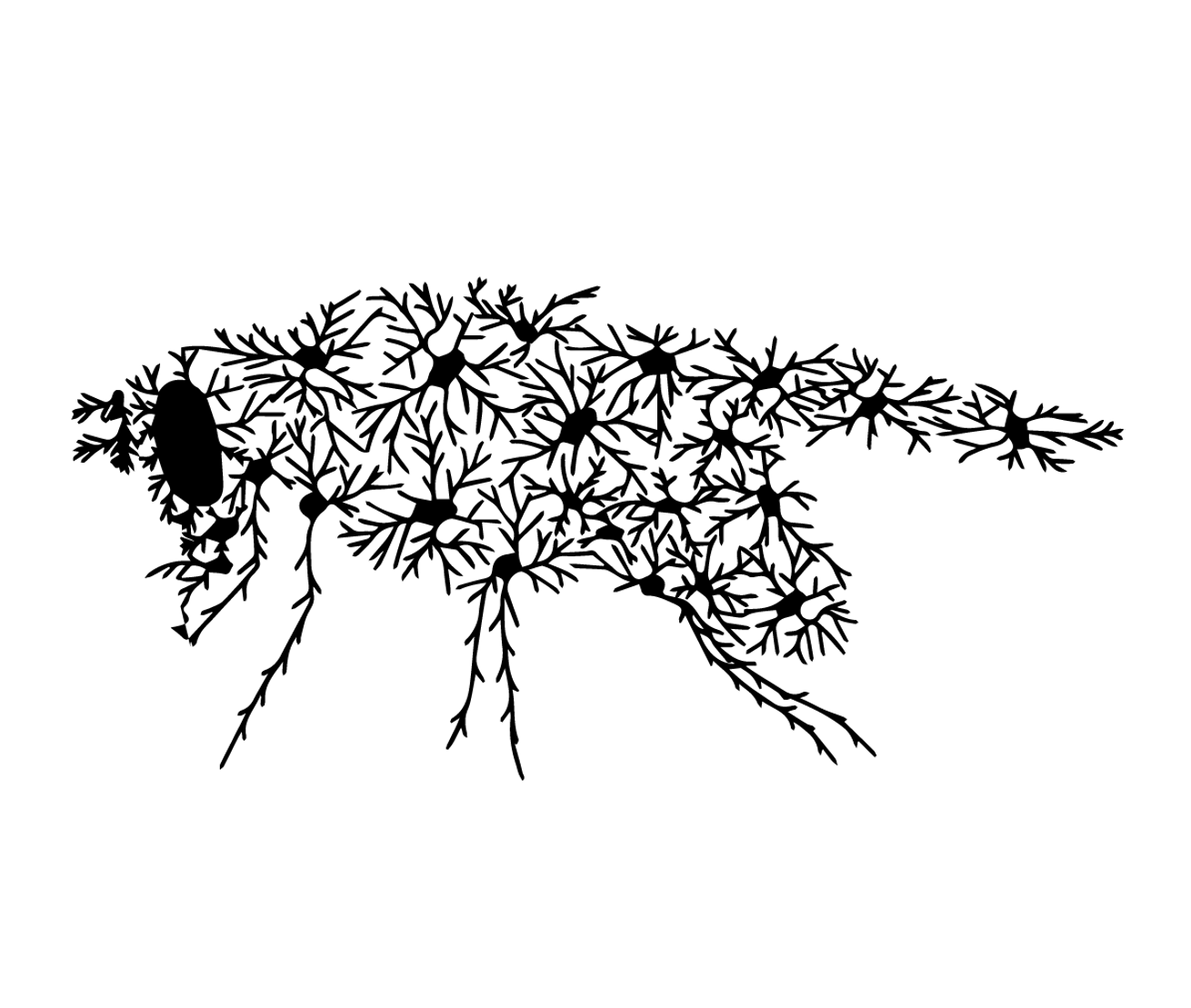 Fly.png