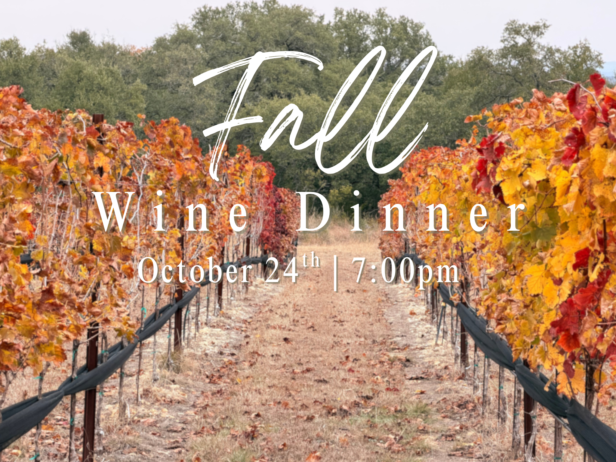 Fall Wine Dinner