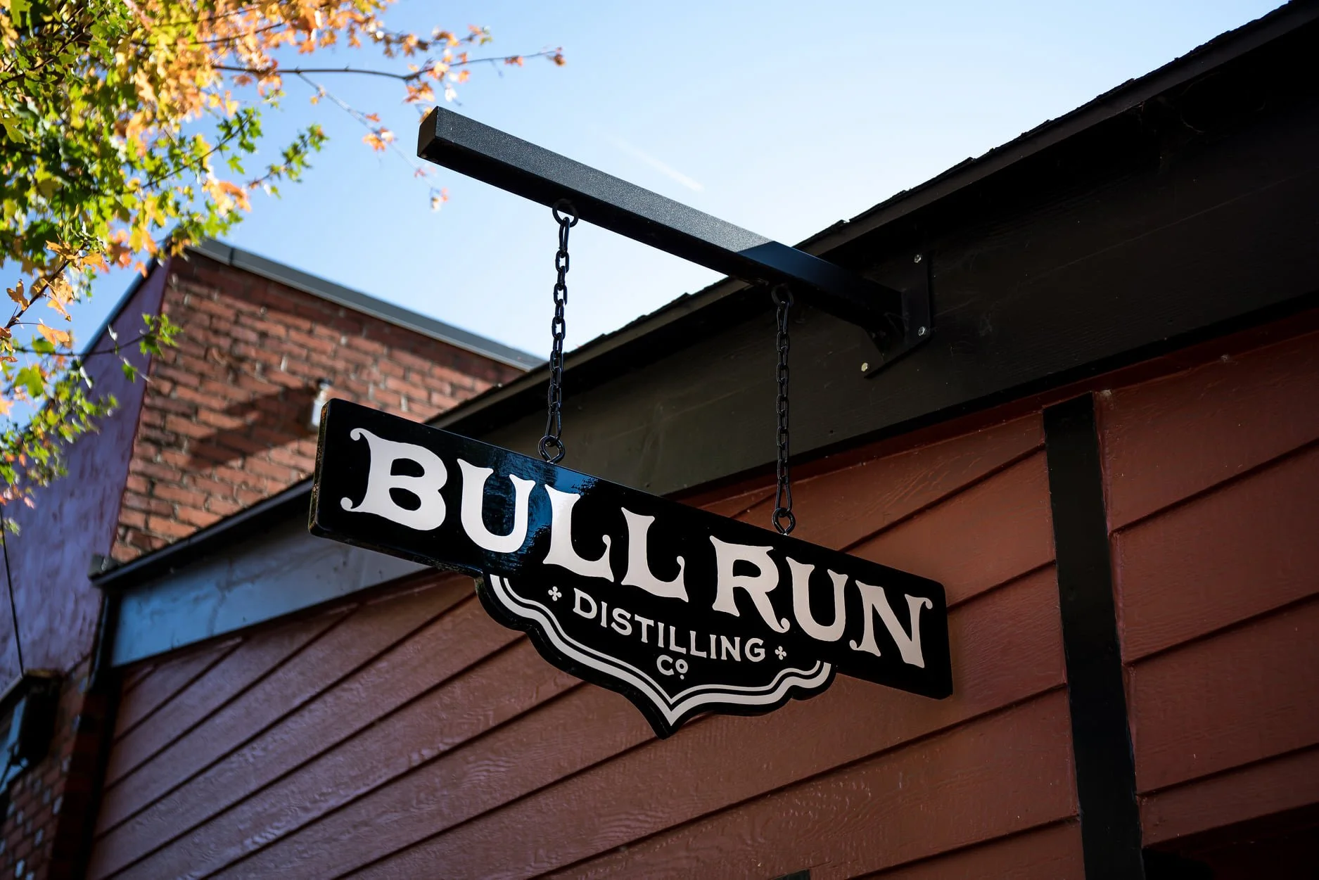 bull run 2.jpg