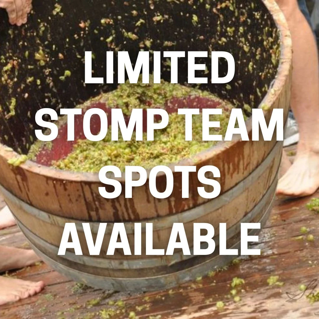 Get your team together and compete for bragging rights - and prizes! The top three teams will take home a prize package filled with locally donated goodies, including wine from local favorites. Plus, the first-place team earns a free entry to the Wil