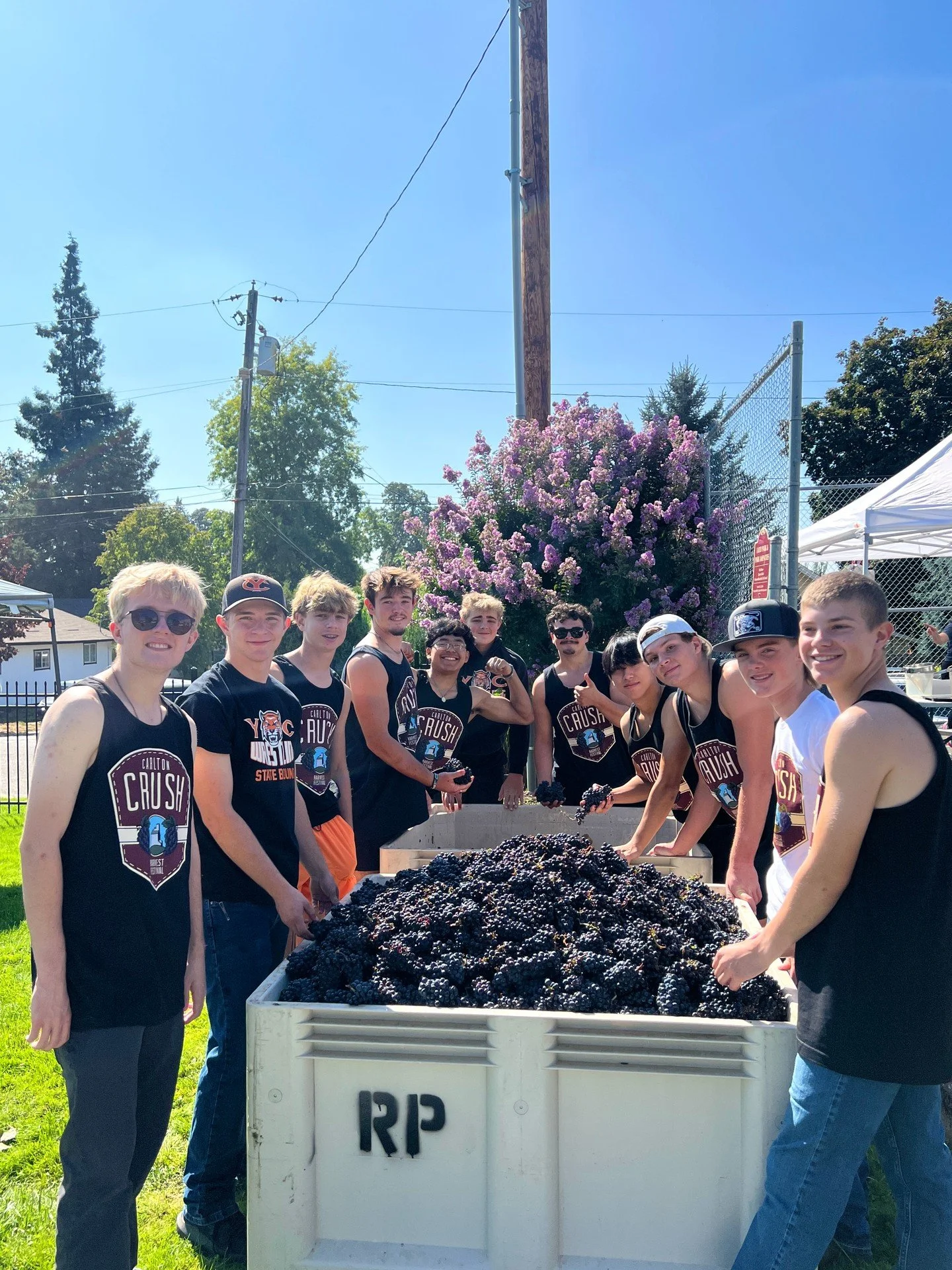Thank you to the @ycwrestling team and coaching staff for your volunteer work and heavy-lifting during Carlton Crush! We couldn't have done the stomp without you! #carltoncrush #carltonbusinessassociation