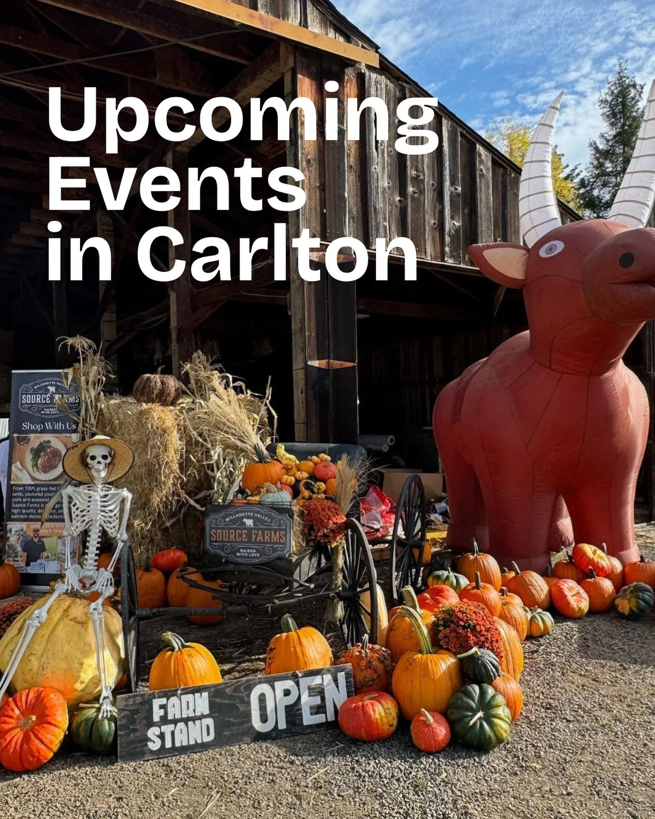So much is happening this month! Check it out ⤵️ 🧡🍂🎃

10/11: Pumpkin Harvest Fest at @theground.love (pictured). A�dults: $25 / K�ids: $10. Advance tickets required.

10/12: Root &amp; Rye&nbsp;@hopsfarmbeer is hosting Yoga &amp; Beer from 12-1 pm