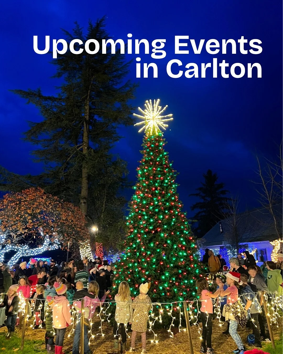 Finish up your holiday shopping in Carlton and get festive with the whole family. Here&rsquo;s what&rsquo;s happening this weekend:

🎨 Paint Party at @kandmwines painting a winter scene this Thursday, Dec 18 | 6 pm

🎄 Holiday Lights Walk at @abbeyr