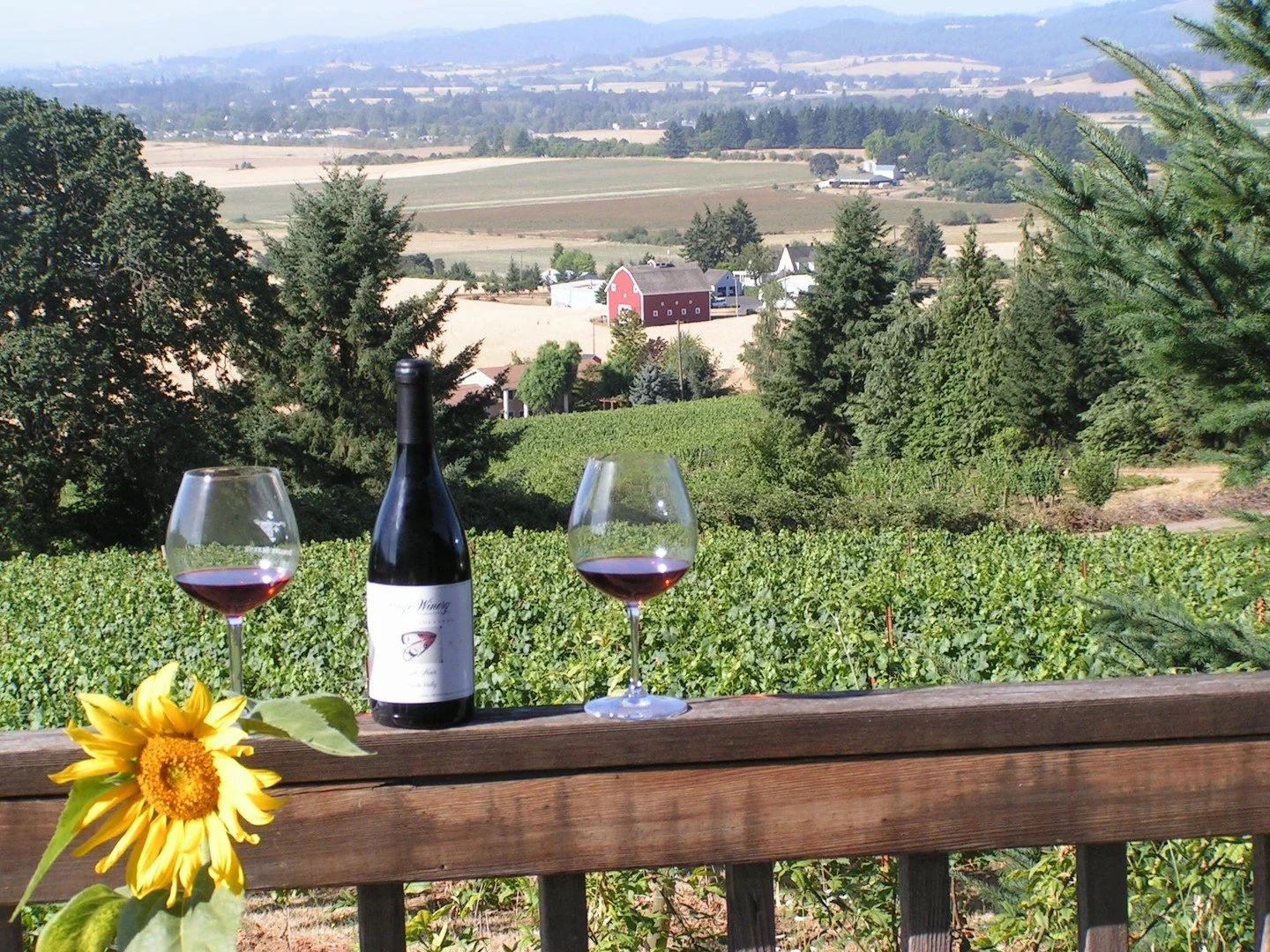 Does this sunny weather have you dreaming of a summer staycation? Yamhill Vineyards Bed &amp; Breakfast offers a peaceful vineyard escape just minutes from Carlton. Surrounded by 18 acres of vines, this cozy two-bedroom B&amp;B is perfect for quiet m