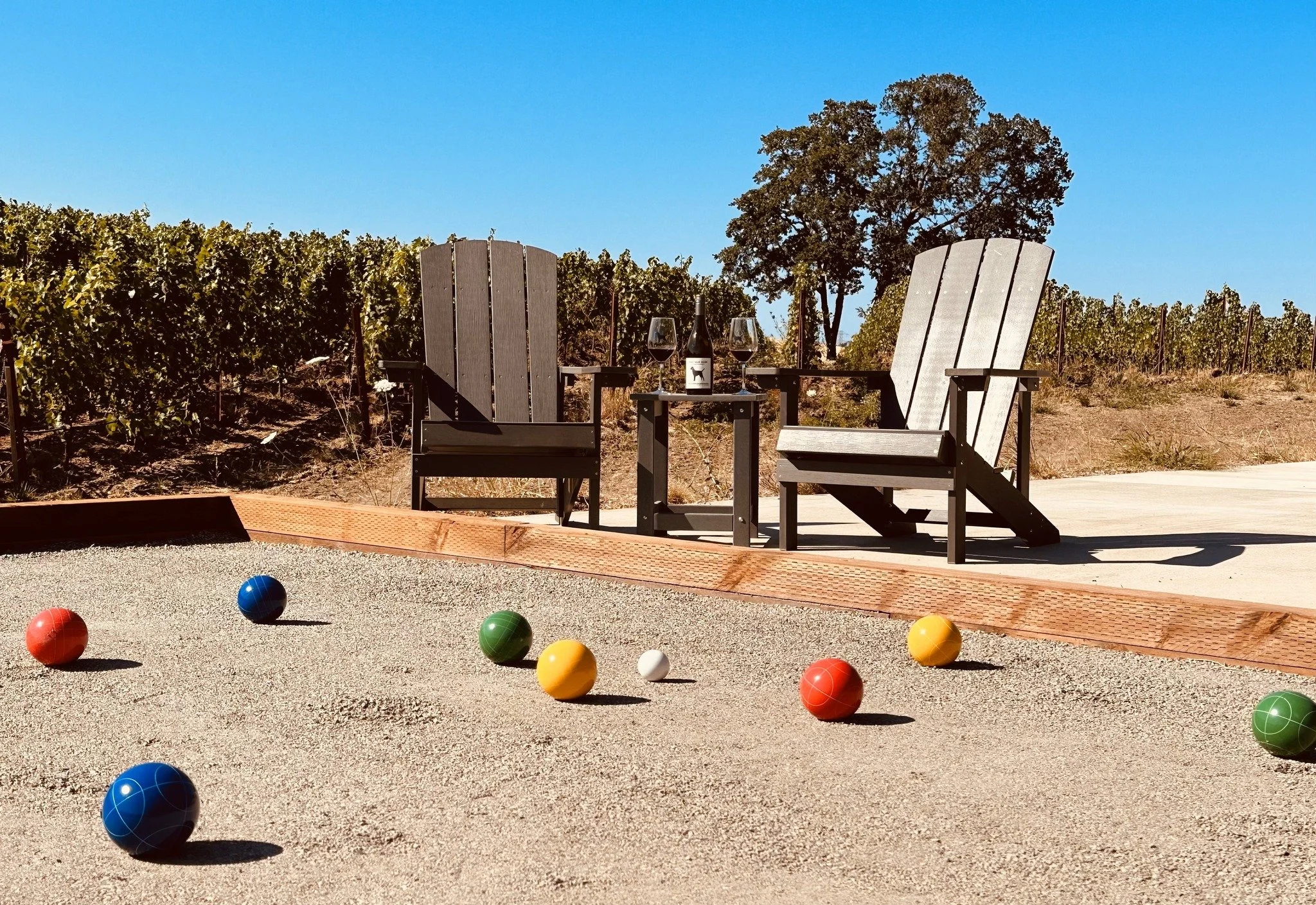 Black Dog Vineyard 2.jpg