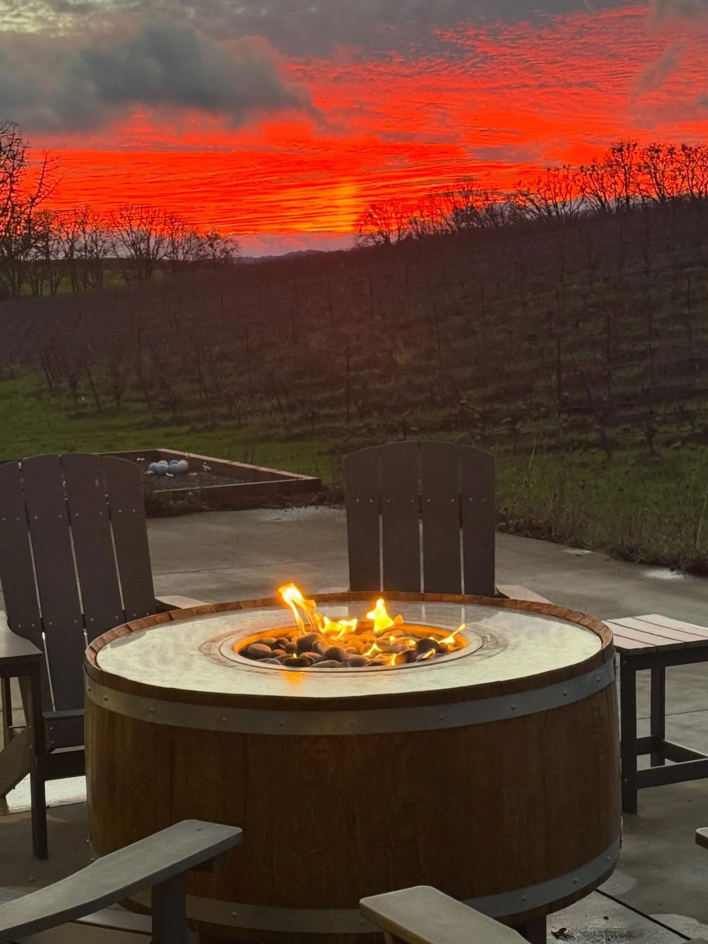 Black Dog Vineyard 4.jpg