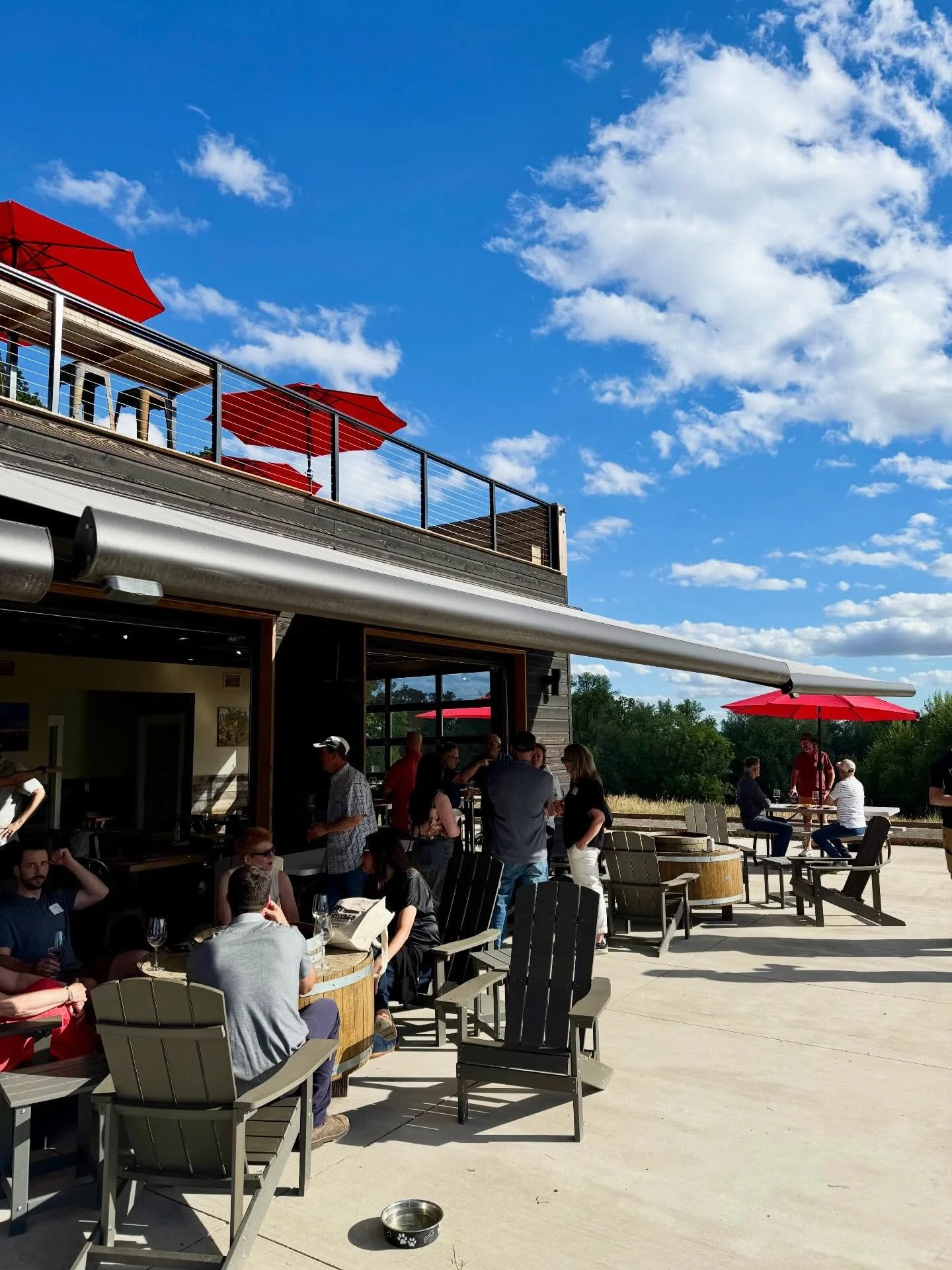 Black Dog Vineyard 5.jpg