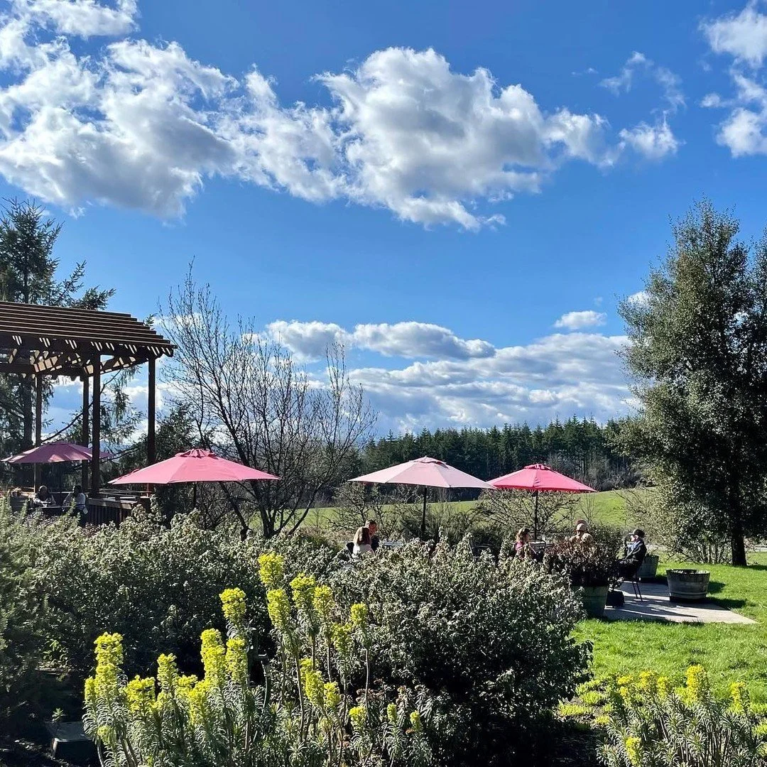 Sunshine, a glass of wine, and a patio that invites you to stay awhile. @lemelsonwinery offers $30 tasting flights, plus outdoor food and well-behaved dogs are welcome on their outdoor patio. Open Thursday through Monday, 11&ndash;4. ☀️ #carltonorego