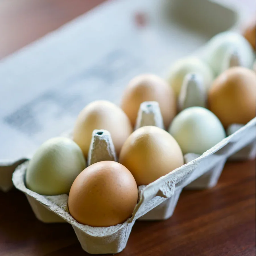 eggs.webp