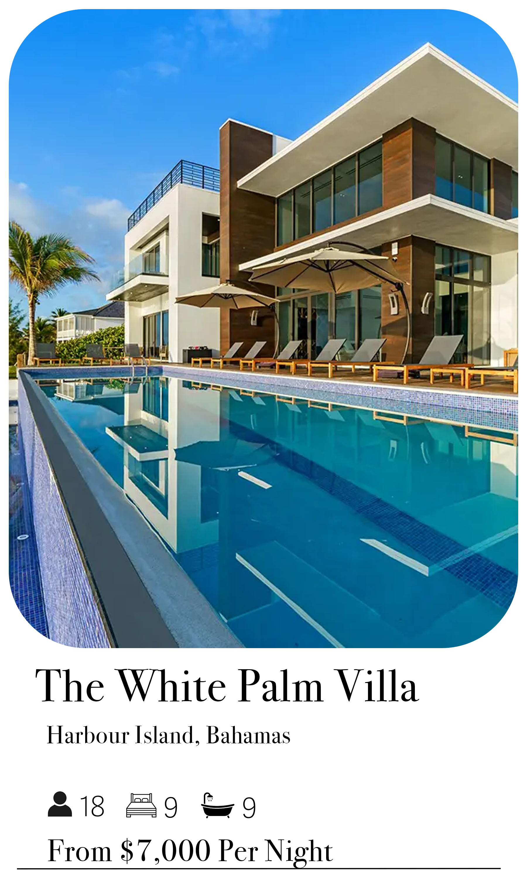 The White Palm