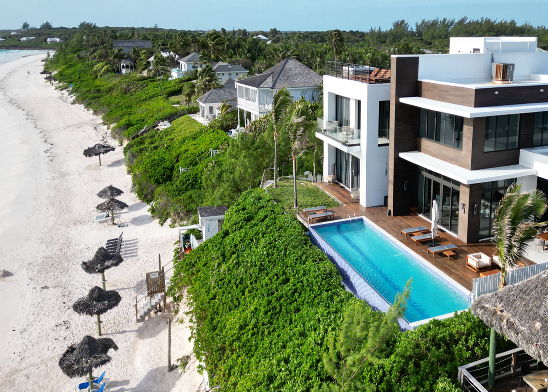 The White Palm