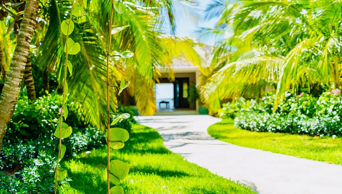 Pink Sands Villa-Garden.jpg