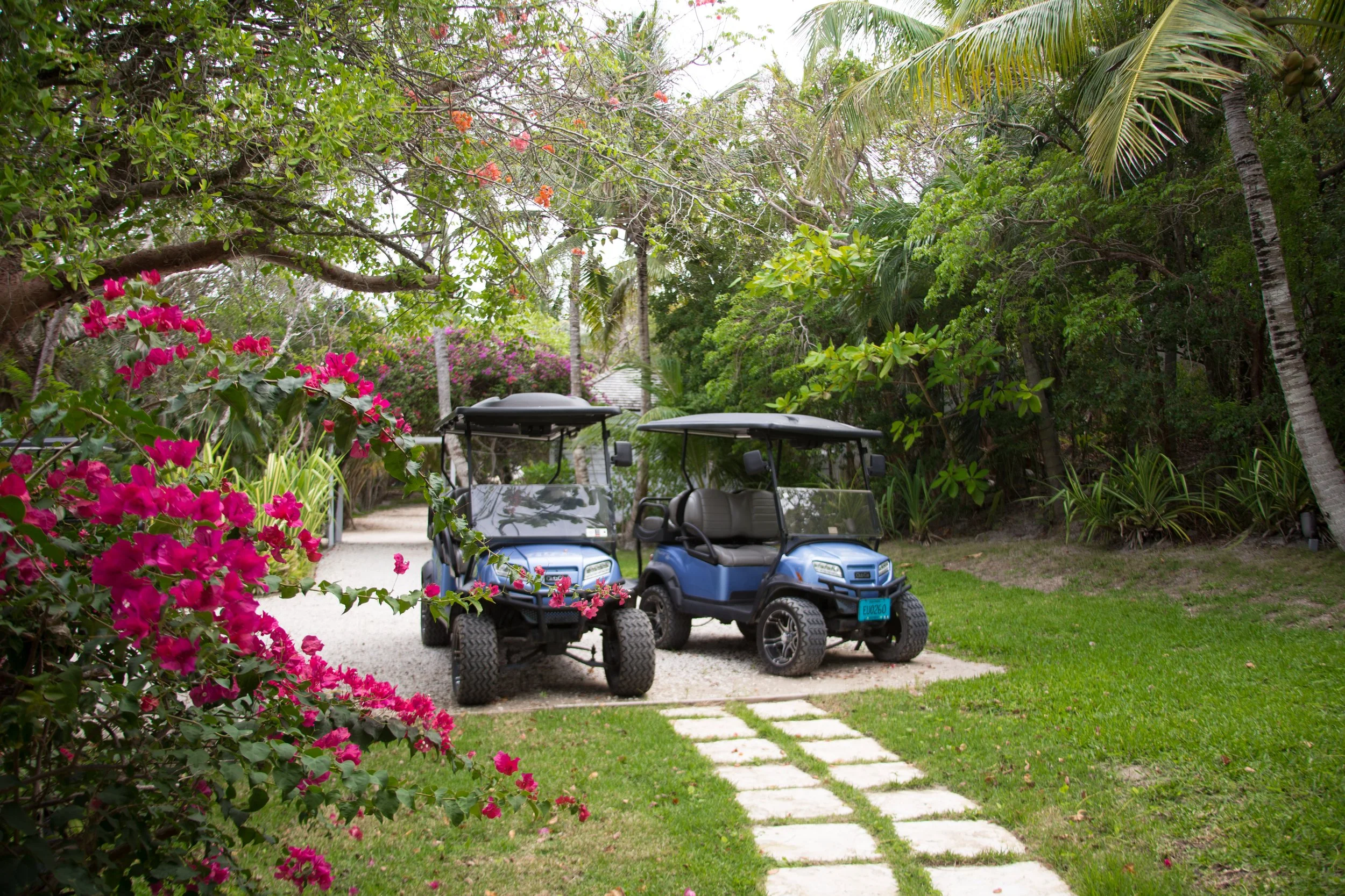 Full Shilling-Golf Cart Parking.JPG