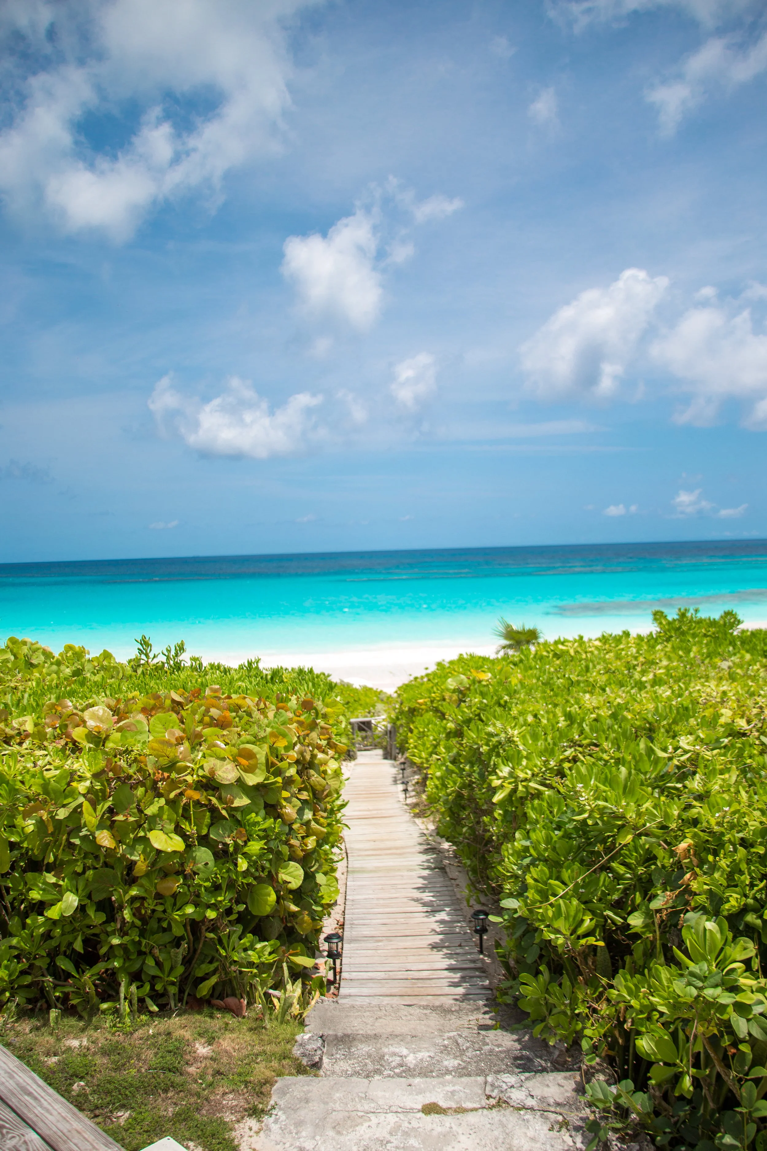 Full Shilling-Beach Walkway.JPG