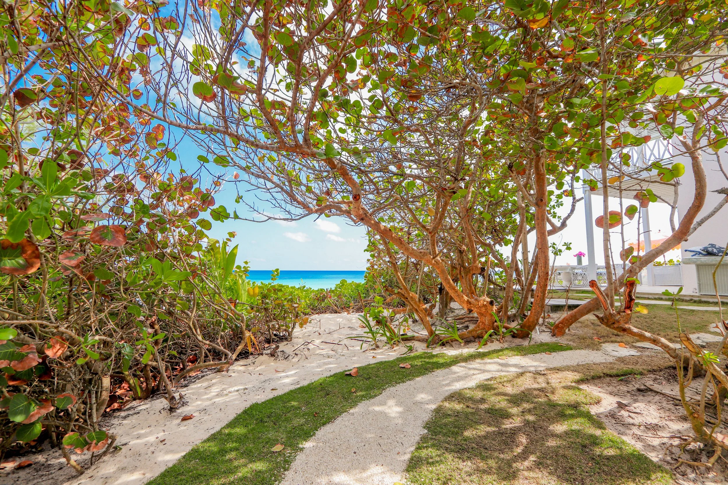 Villa Aerwyna-Guest House-backyard.JPG