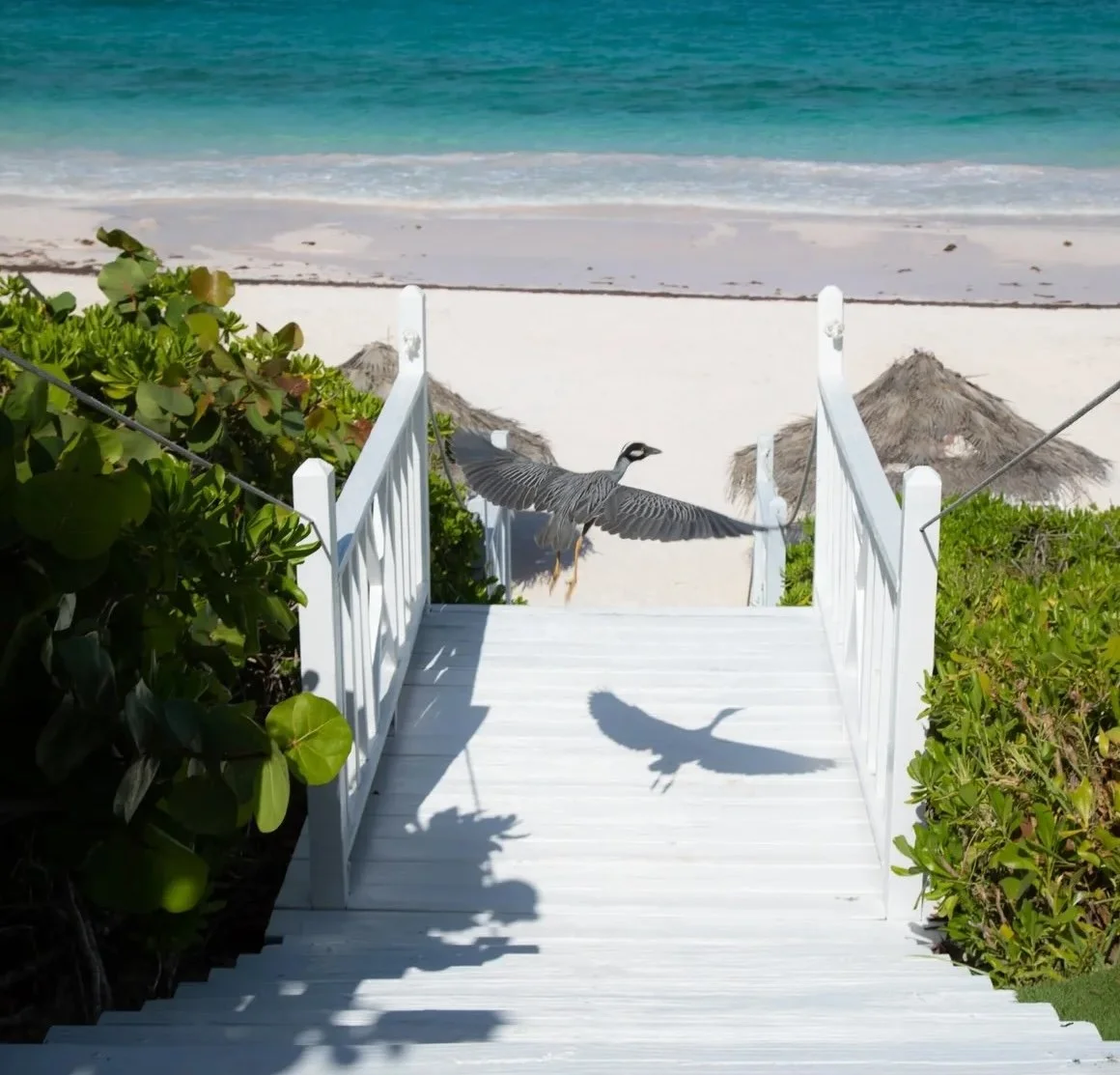 Villa Aerwyna-Guest House-Stairs to beach.jpeg