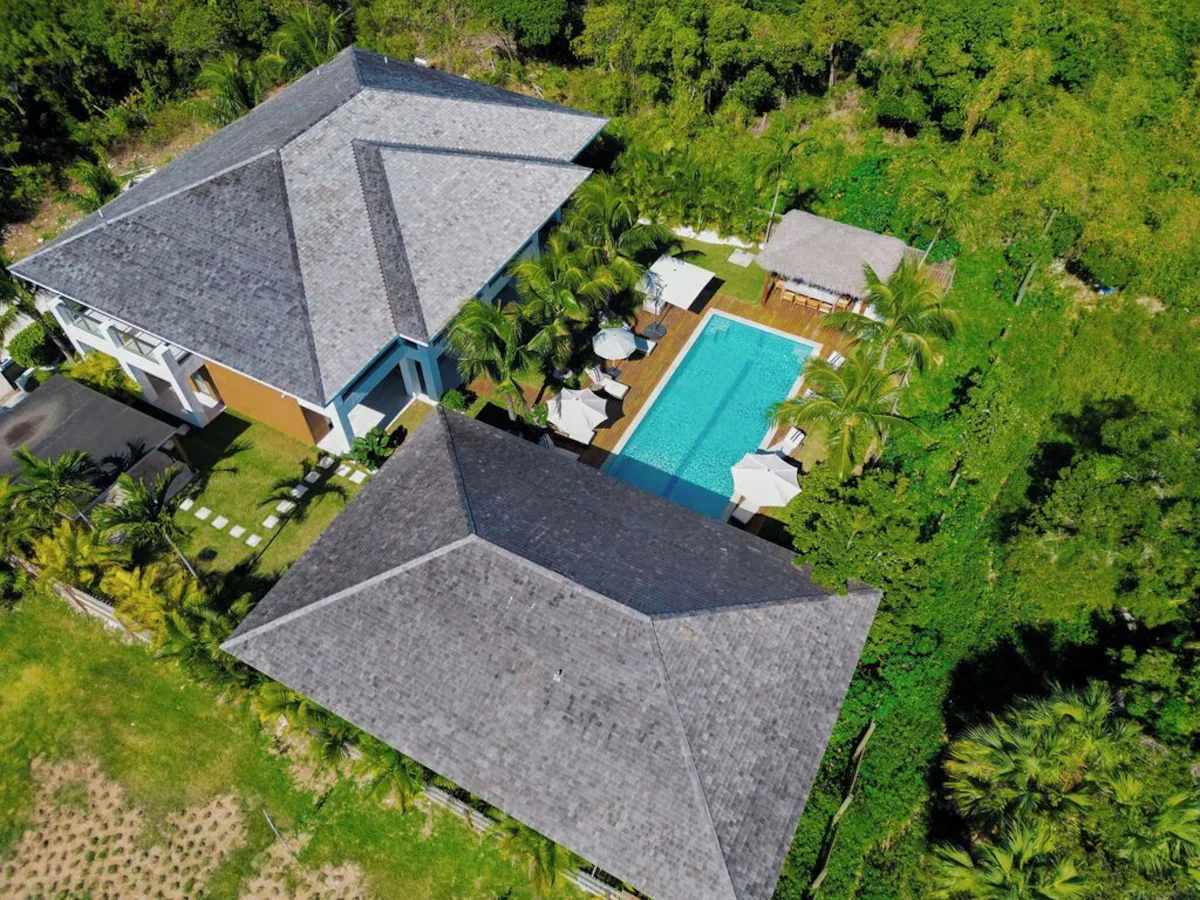 Birdseye View.webp