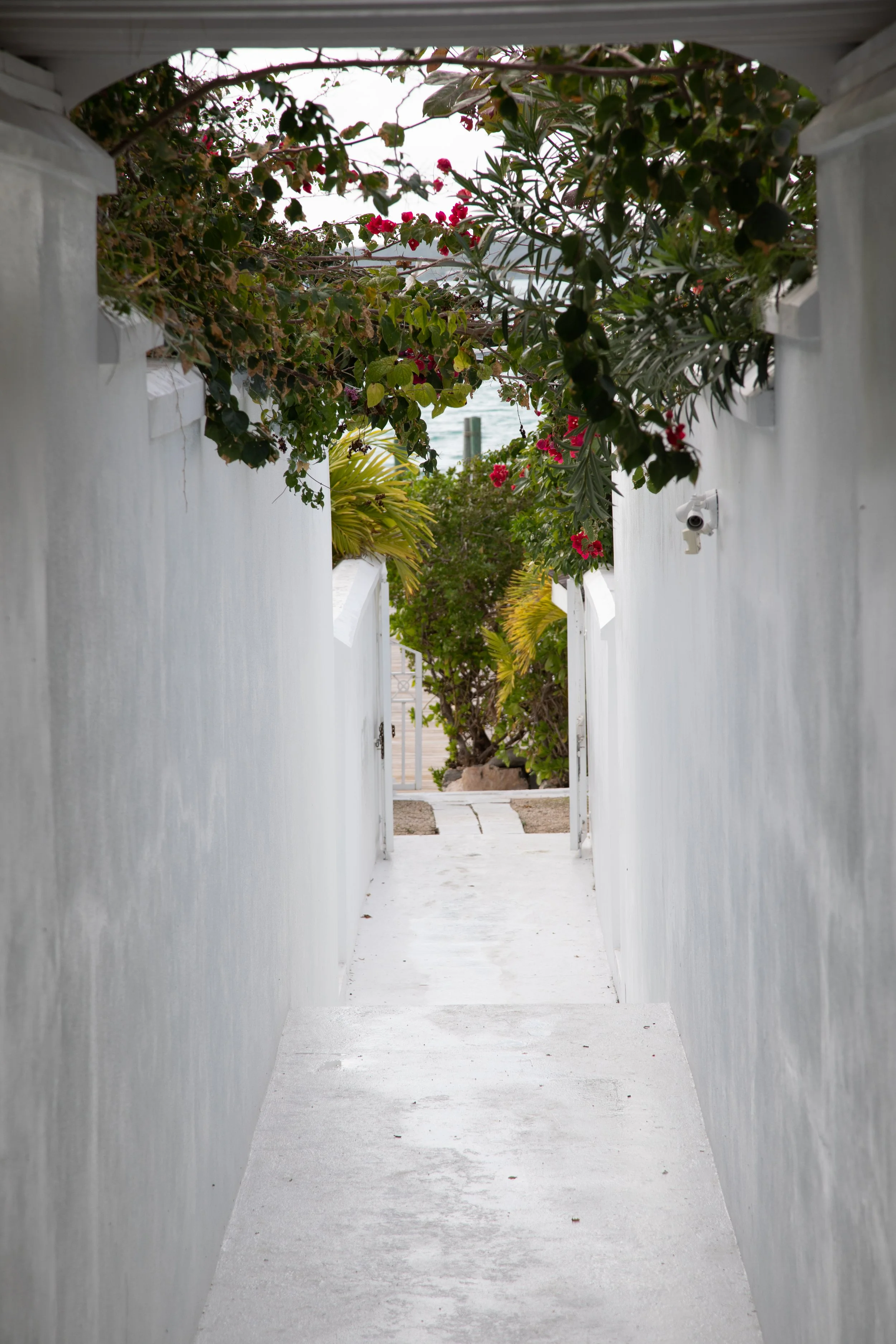 THE WHITE HOUSE COTTAGE 2020-58.jpg