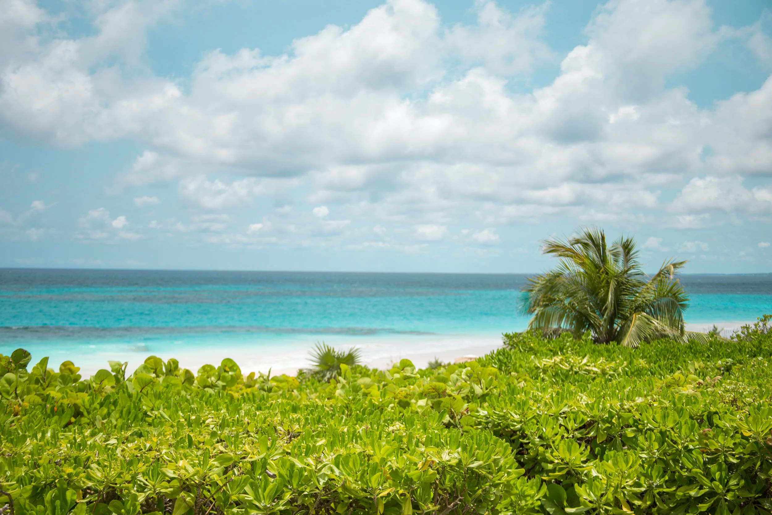 Full Shilling-Ocean View From Deck.JPG