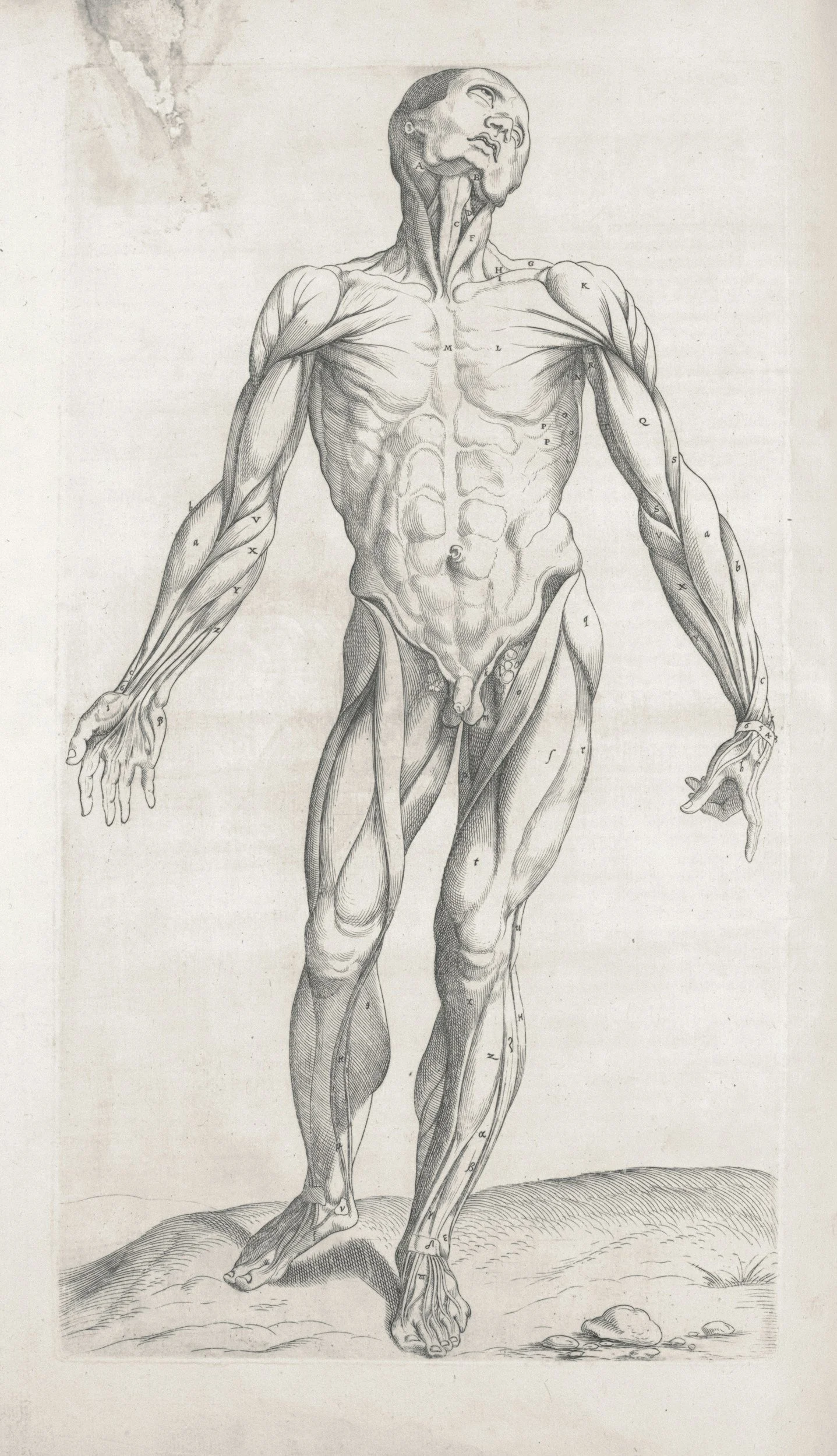 More Muscle? Only If Your Body’s Ready for It.