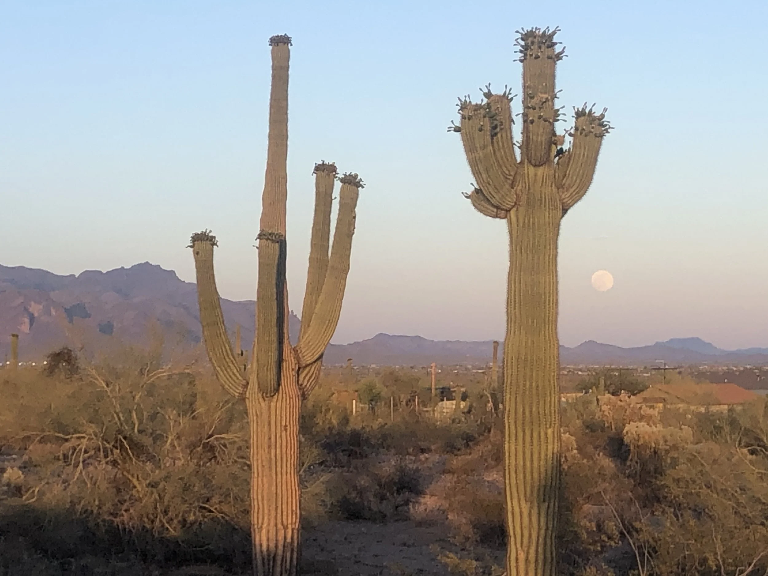 Life Development Group (in-person)