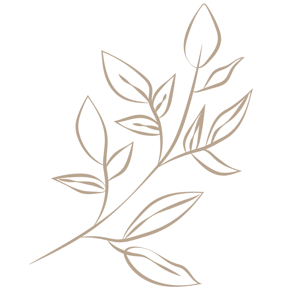 A simple line drawing of a leafy branch with multiple leaves on a transparent background.