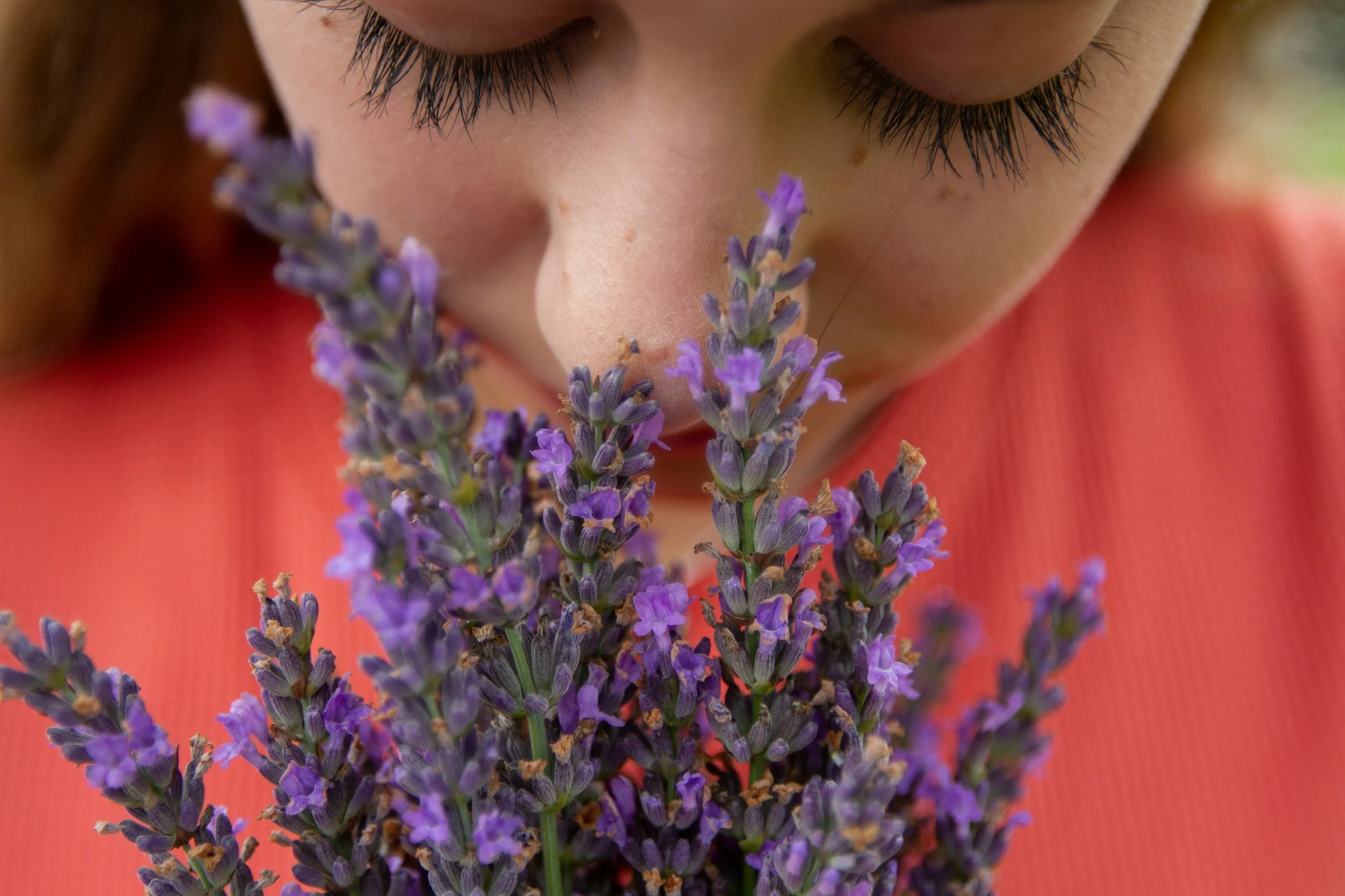 A girl is smelling lavendar.