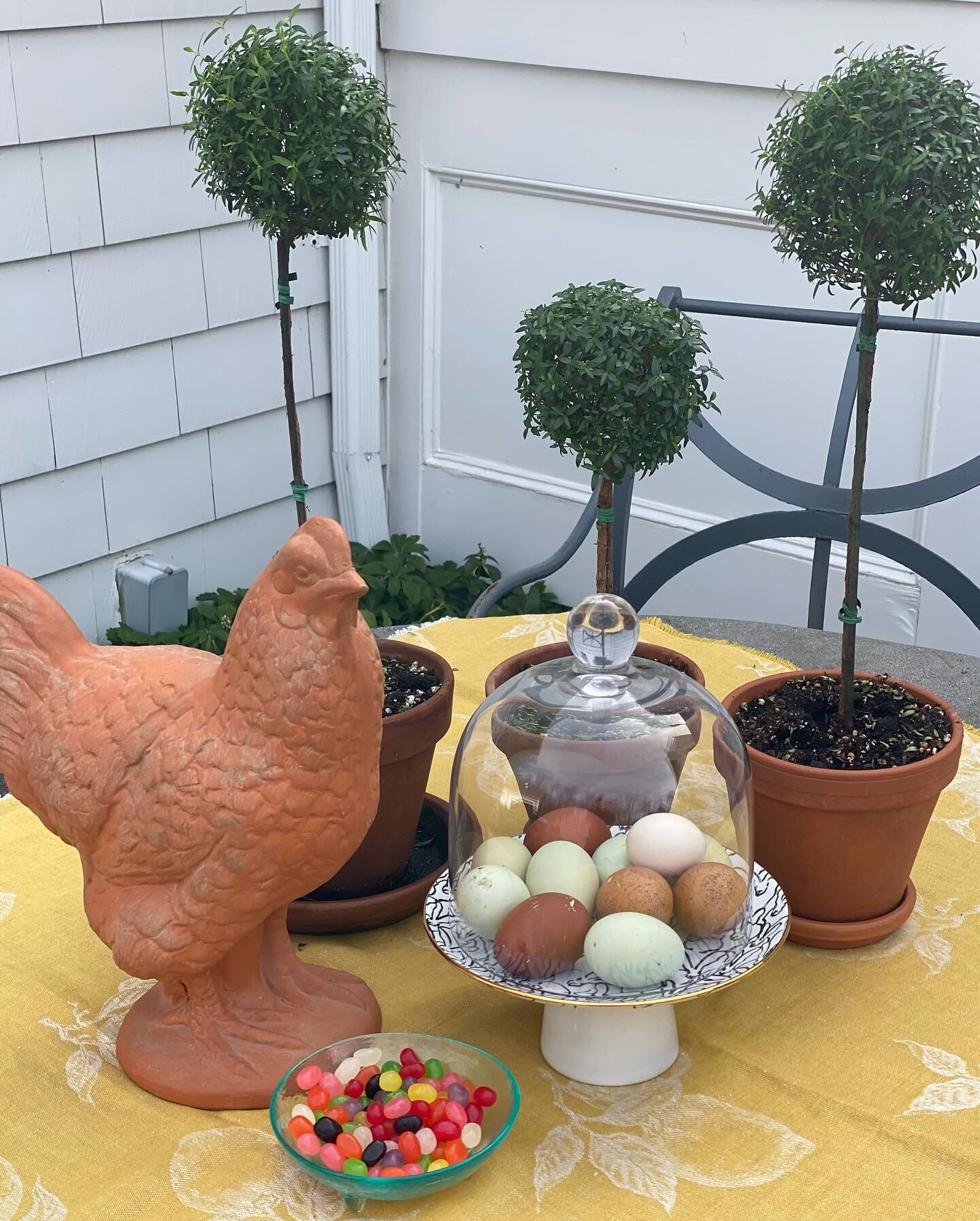Happy Easter Sunday☀️🐣 to all who celebrate! 
Fresh eggs undied by @thetodaros @giadablujewelry 
Wishing you a peaceful day with friends and family.
#easter #christian #spring #nature #organic #grateful #thankful #family #kindness #mindful
