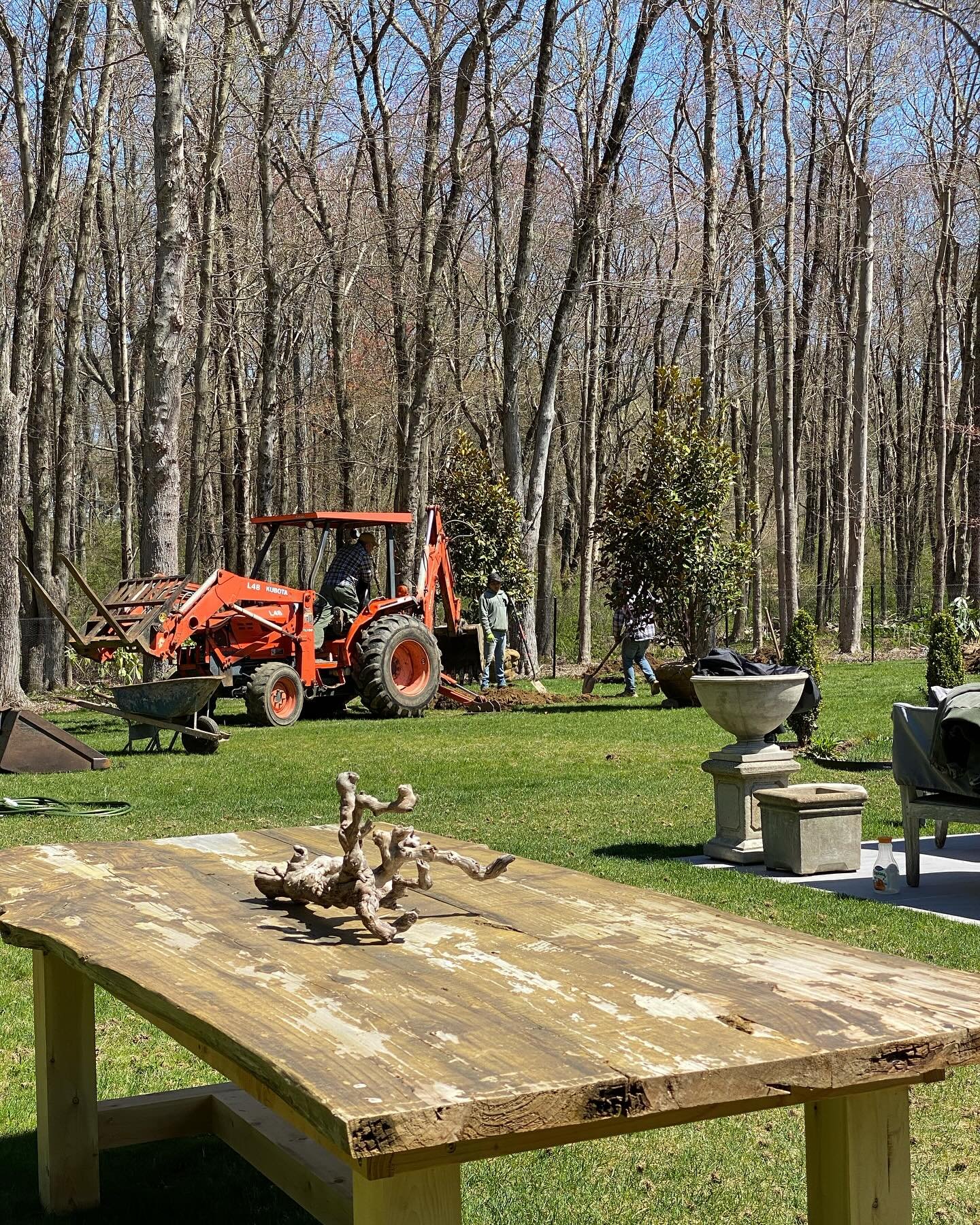 EARTH DAY 2024☀️. Spent adding Magnolia trees and Holly to the garden. Thank you to @holmes.finegardens for all the hard work today💪🏻
#addplants
#feedthebees 
#gardenstyle 
#earthday
#takesavillage 
#gardenlove
#lifestyle
#myhappyplace 
#handsinthe