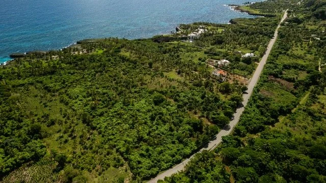 PHOTO-2026-02-24-13-12-28 (2).jpg