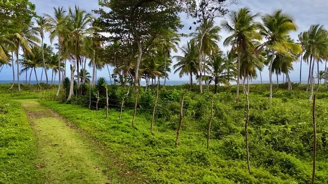 dji_fly_20260301_151510_0339_1772466409022_photo.jpeg