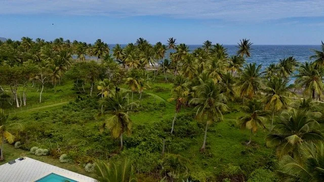 dji_fly_20260301_151742_0342_1772466408080_photo.jpeg