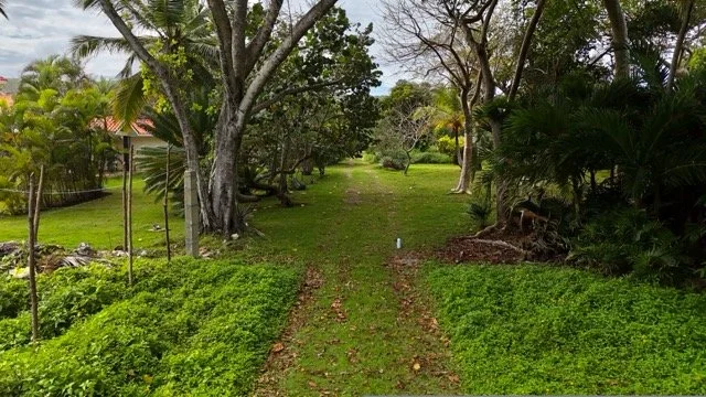 dji_fly_20260301_151458_0337_1772466409698_photo.jpeg