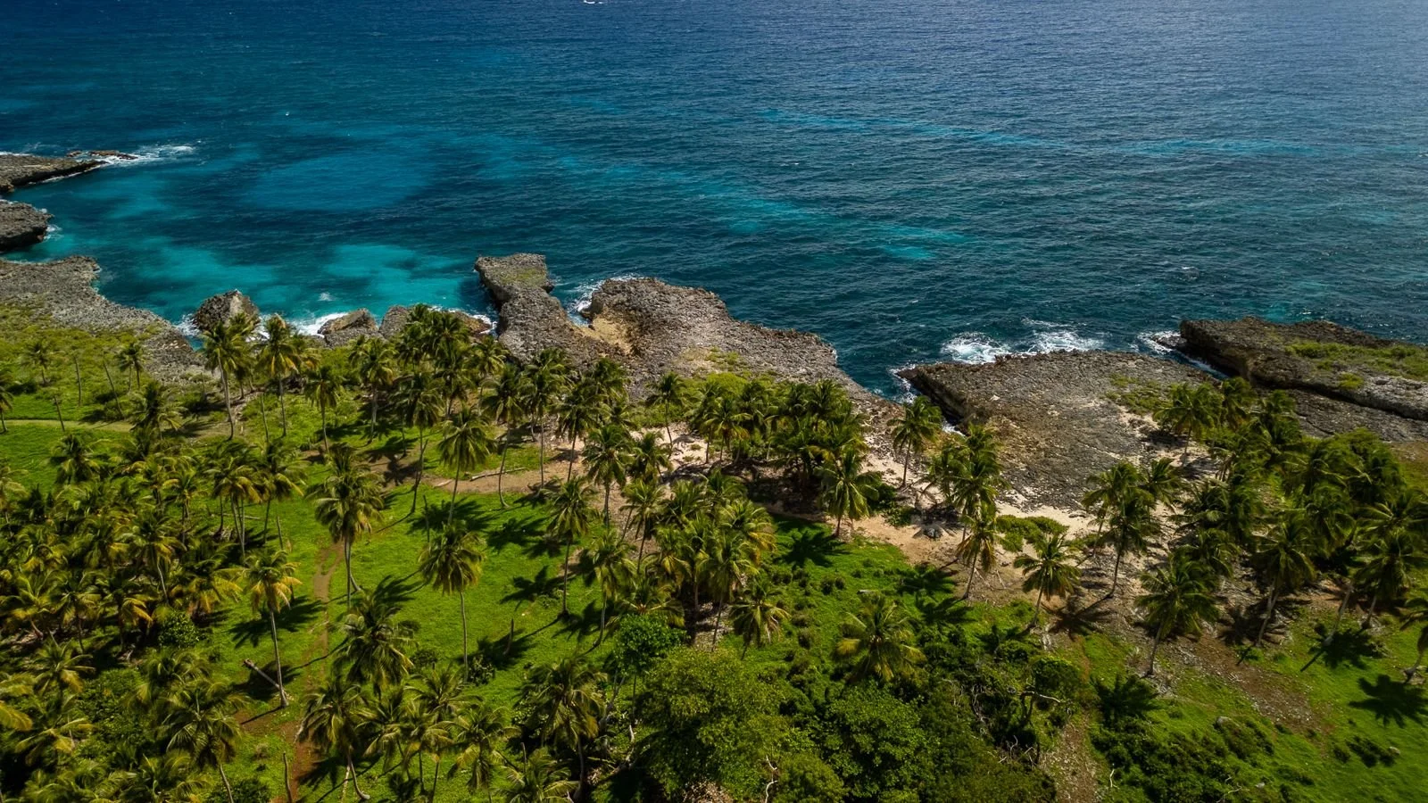 PHOTO-2026-02-24-13-12-29 (3).jpg