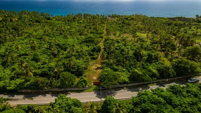 PHOTO-2026-02-24-13-12-29 (4).jpg