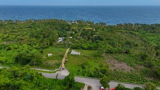 dji_fly_20260301_152010_0348_1772466406307_photo.jpeg