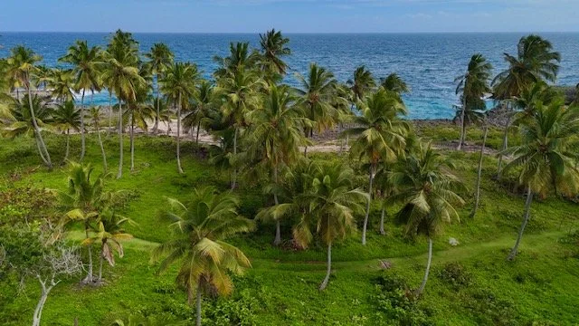 dji_fly_20260301_150254_0295_1772495634612_photo.jpeg