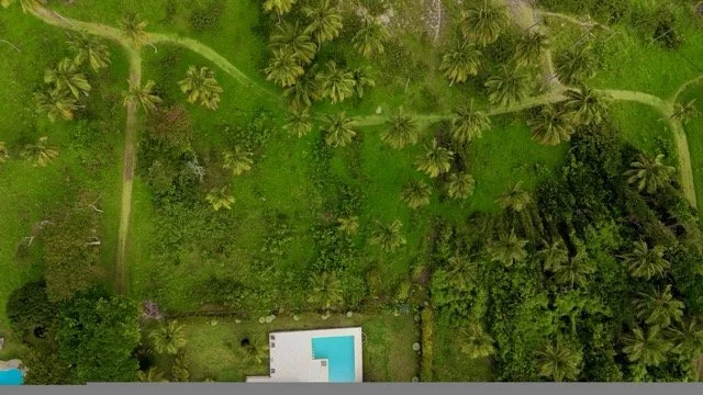 dji_fly_20260301_152520_0359_1772466402621_photo.jpeg