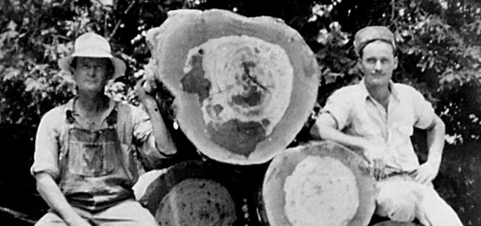 Screenshot 2024-05-15 at 2.08.43 PM.png