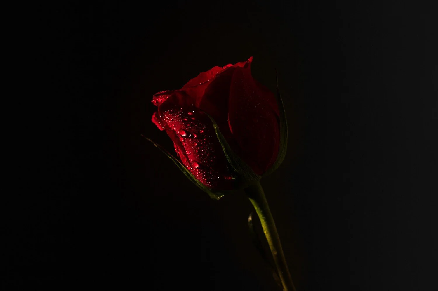 Shiva Rose on Boundless Confidence