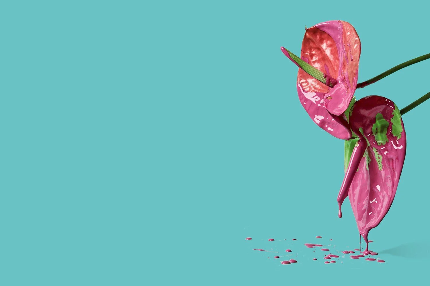 Why Spring Fever is a Much Better Time for Lasting Change