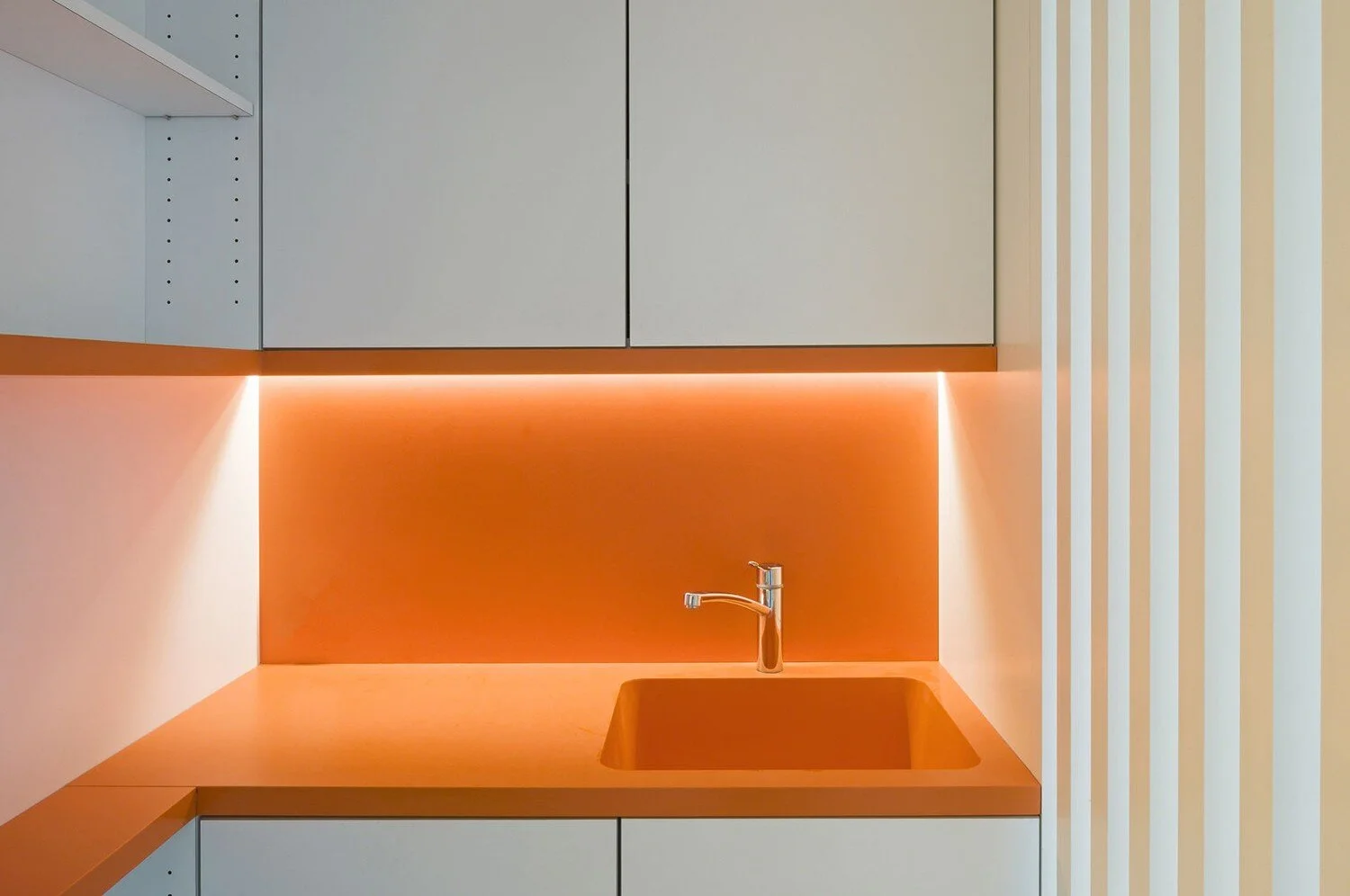 Can Your Environment Change Your Brain?