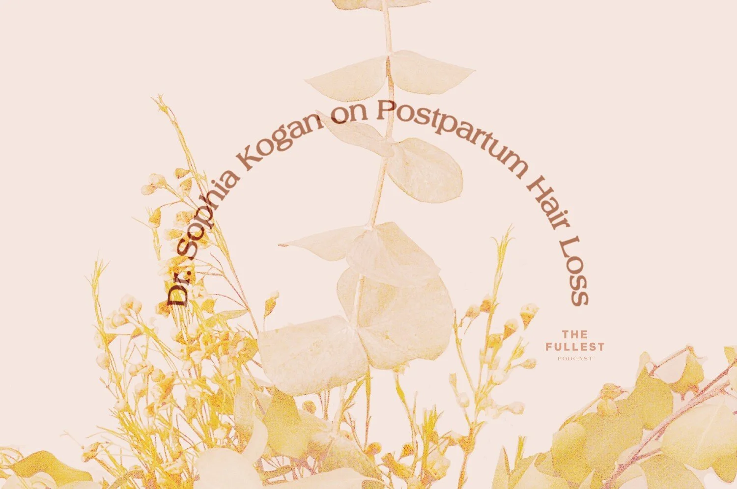 Dr. Sophia Kogan on Postpartum Hair Loss