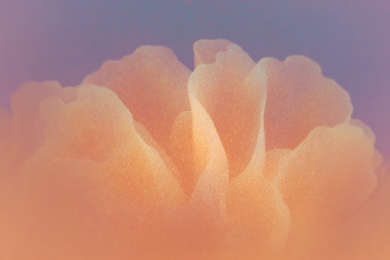 Soft abstract organic shapes in warm tones representing nervous system overwhelm, chronic stress, and burnout.