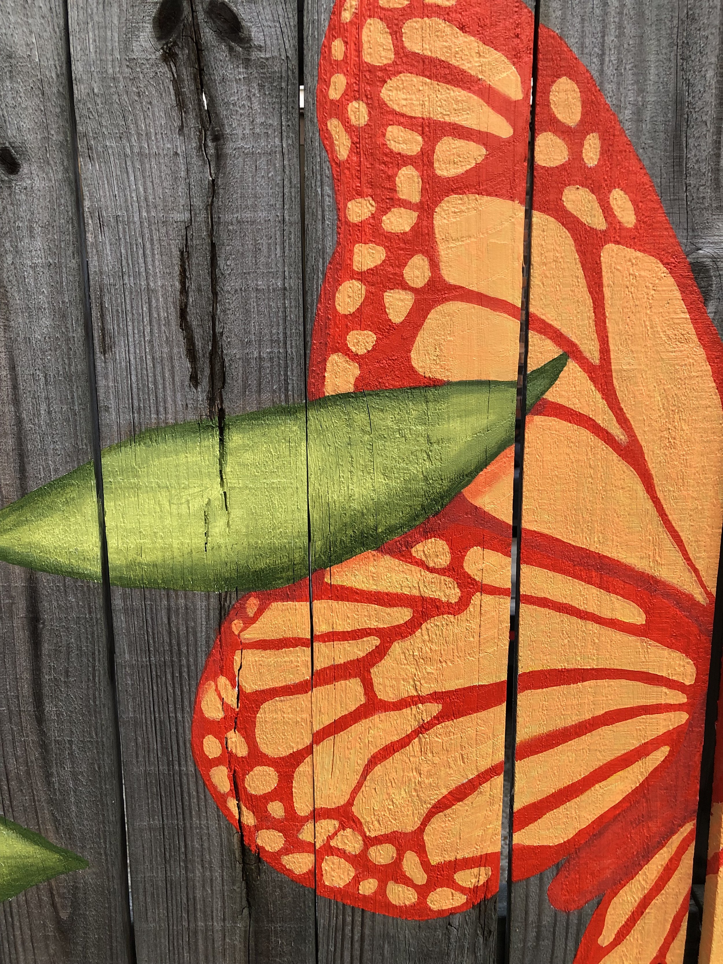 Custom Backyard Mural
