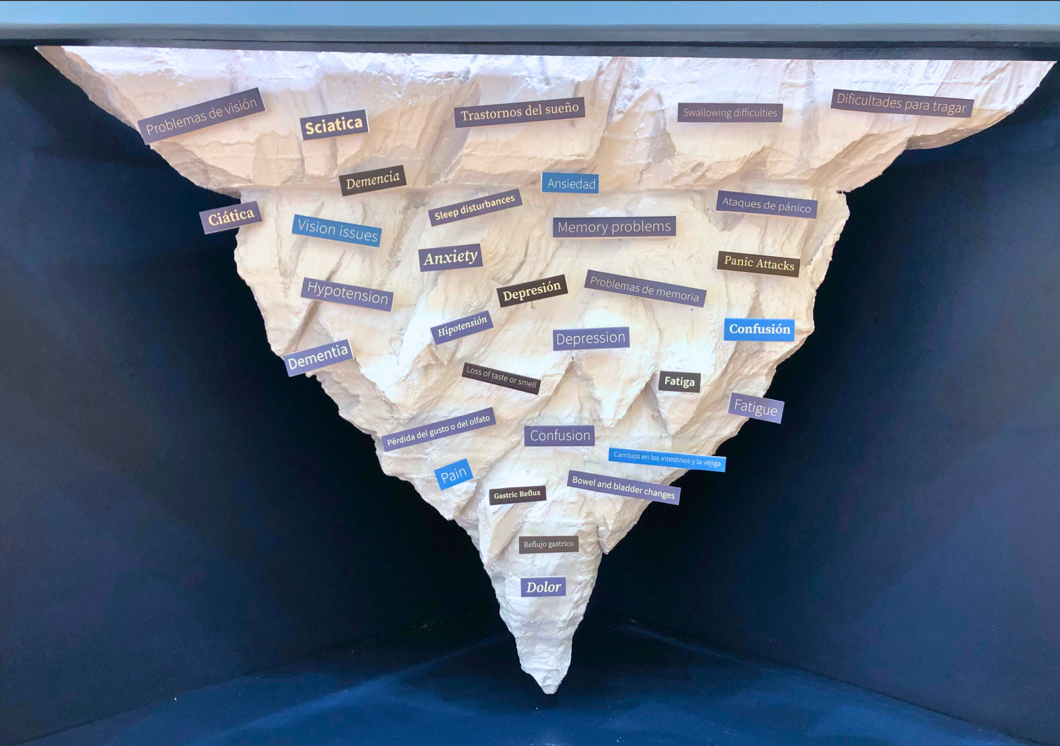 Screen Shot 2023-12-08 at 10.51.43 PM.png