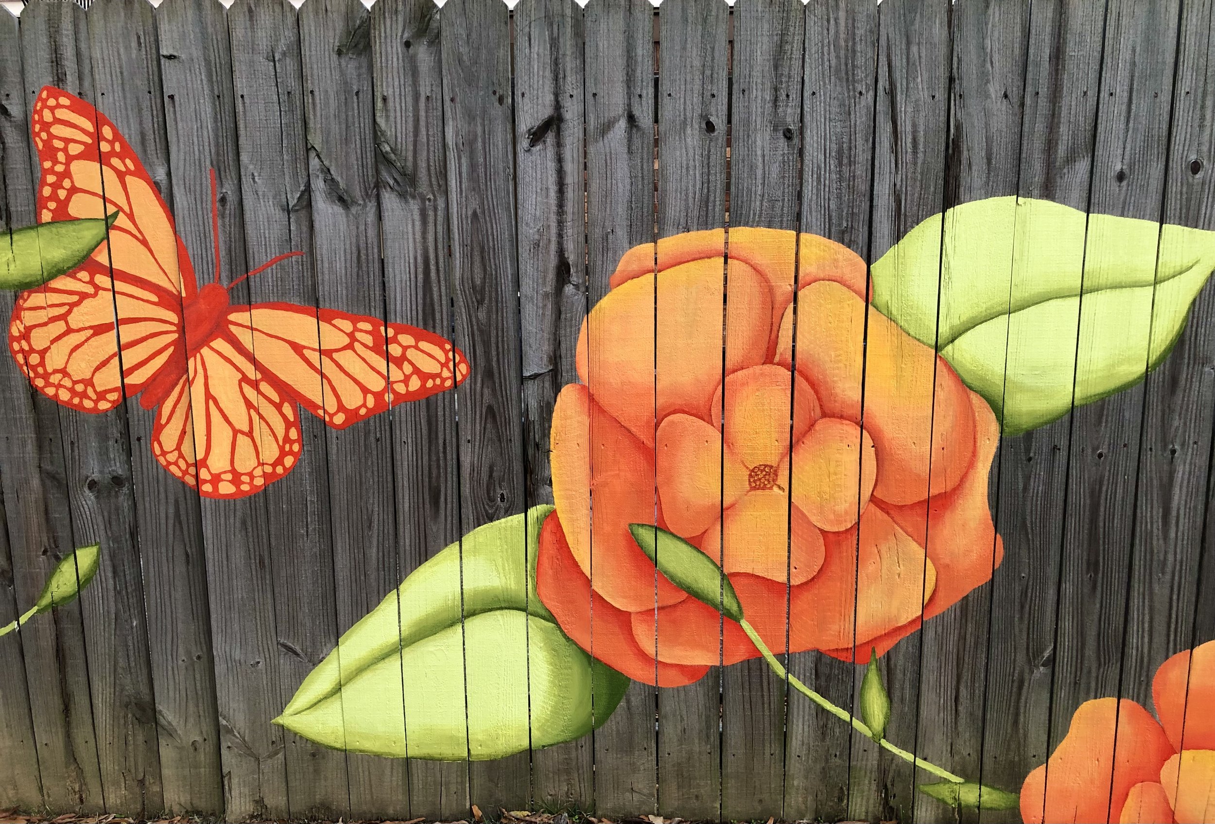 Custom Backyard Mural