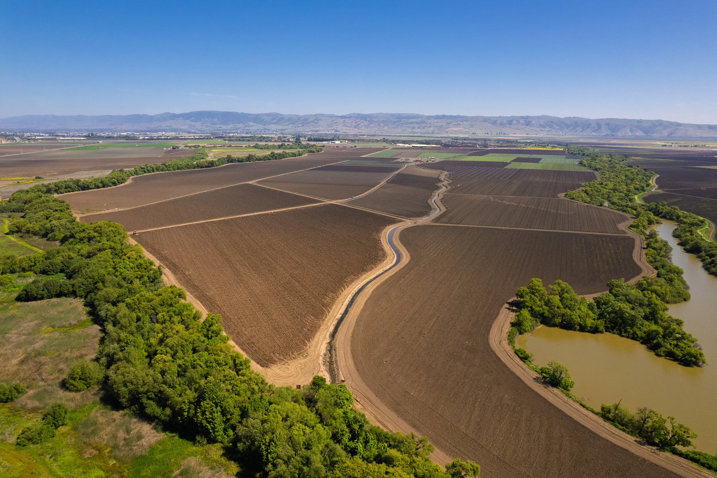 DJI_0808.jpg